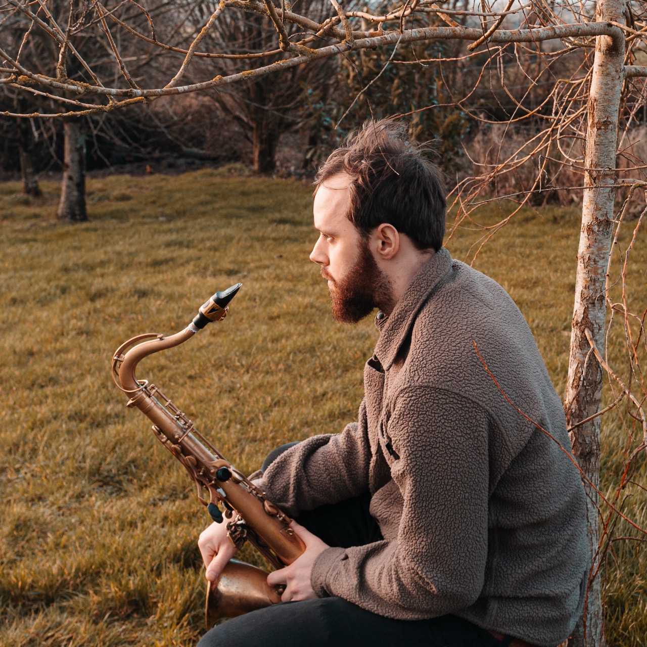 tom-in-front-of-a-bush